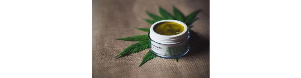 TOP Fakten über CBD