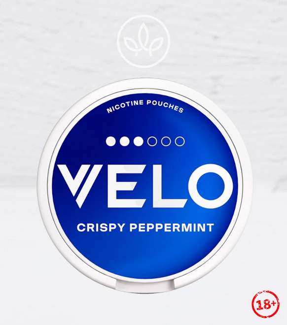 Crispy Peppermint 10mg